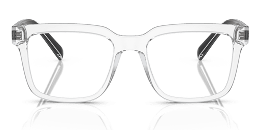 Dolce and Gabbana 0DG5101