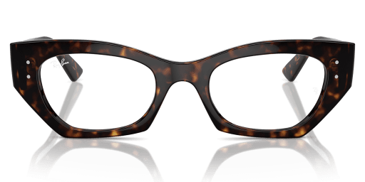 Ray-Ban 0RX7330