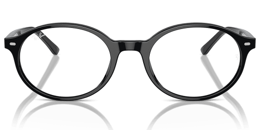 Ray-Ban 0RX5429